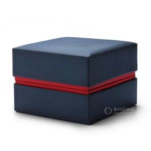 Tragbare Kissen-Uhren-Displaybox aus hochwertigem Leder mit Rand-Luxus-Uhren-Kunststoffbox